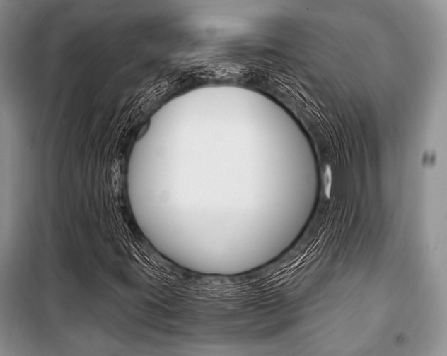 X0000101111395200806261058