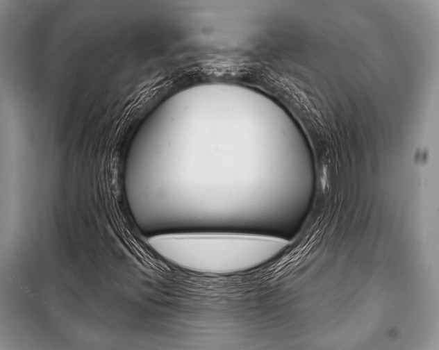 X0000101111396200806261058