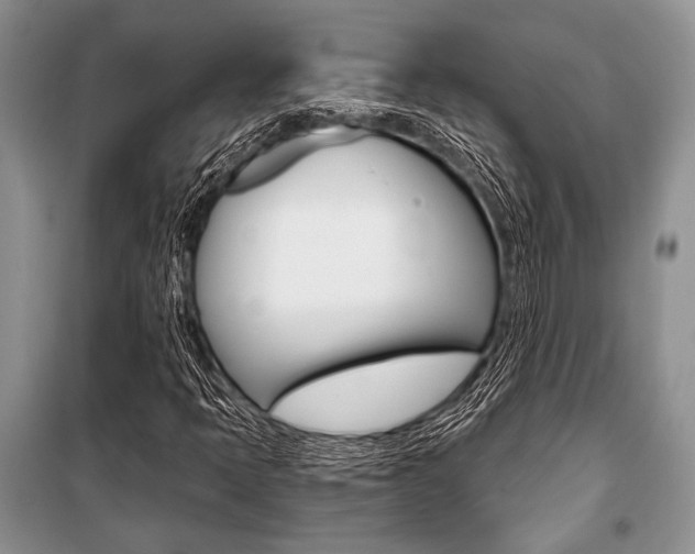X0000101111397200806261058