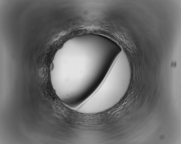 X0000101111398200806261058