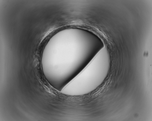 X0000101111400200806261058
