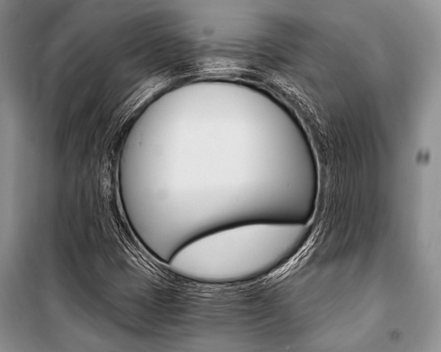 X0000101111401200806261058