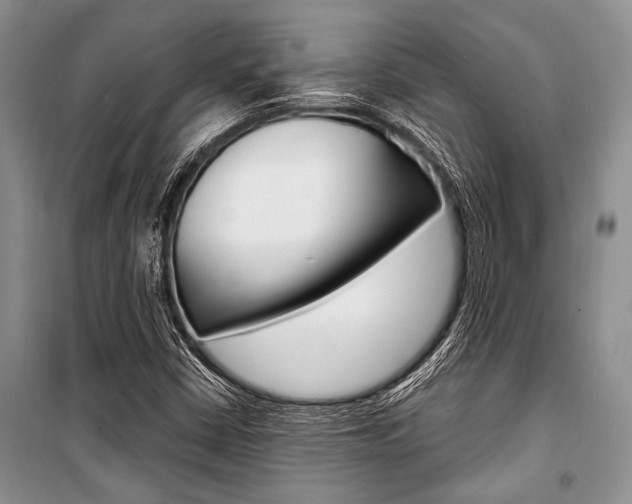 X0000101111402200806261058
