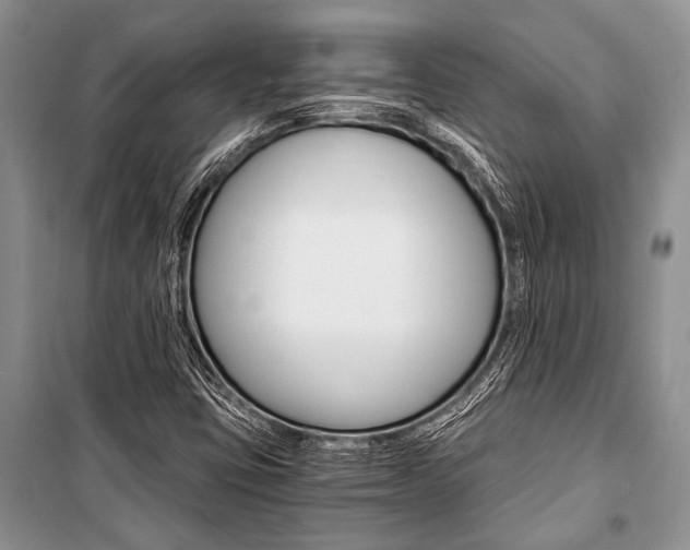 X0000101111403200806261058