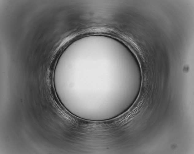X0000101111404200806261058