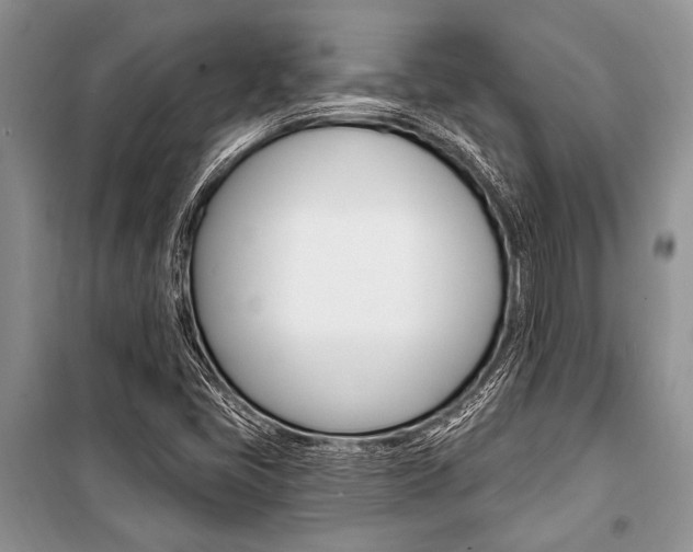 X0000101111405200806261058