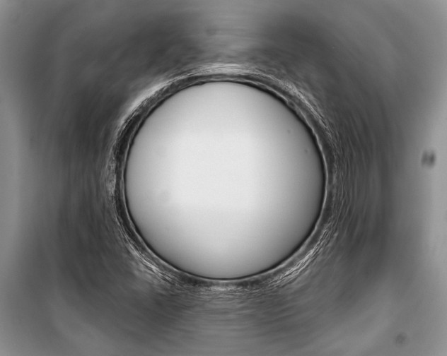 X0000101111406200806261058