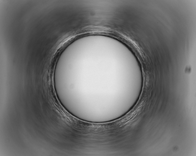 X0000101111407200806261058