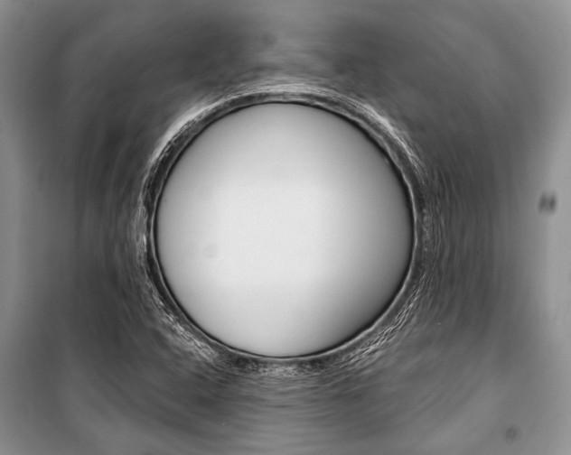X0000101111408200806261058