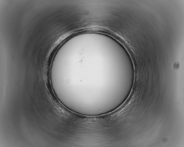 X0000101111410200806261058