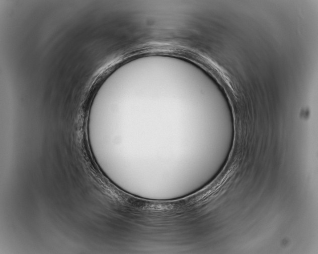 X0000101111411200806261058
