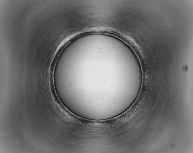 X0000101111412200806261058