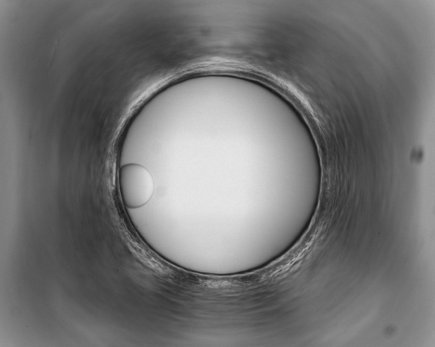 X0000101111413200806261058