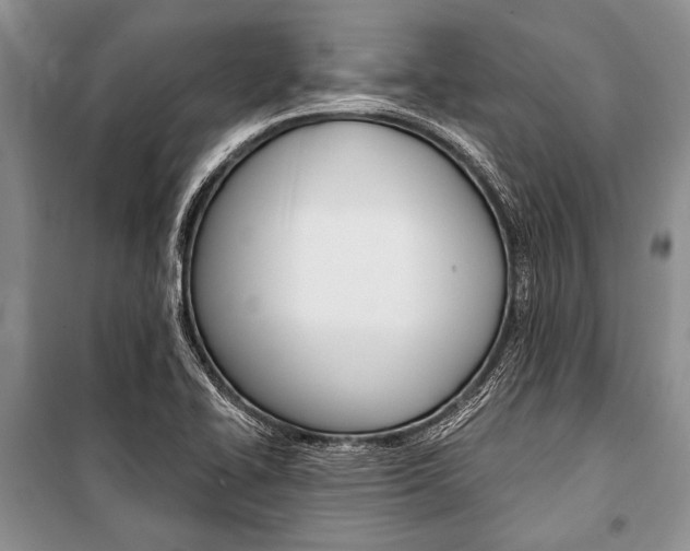 X0000101111414200806261058