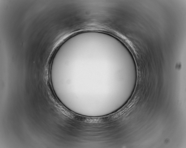 X0000101111415200806261058