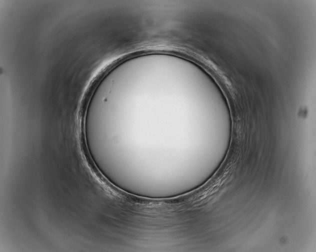 X0000101111416200806261058
