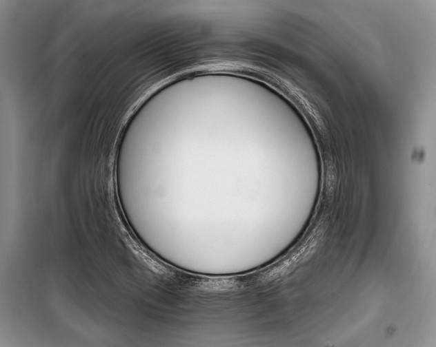 X0000101111417200806261058