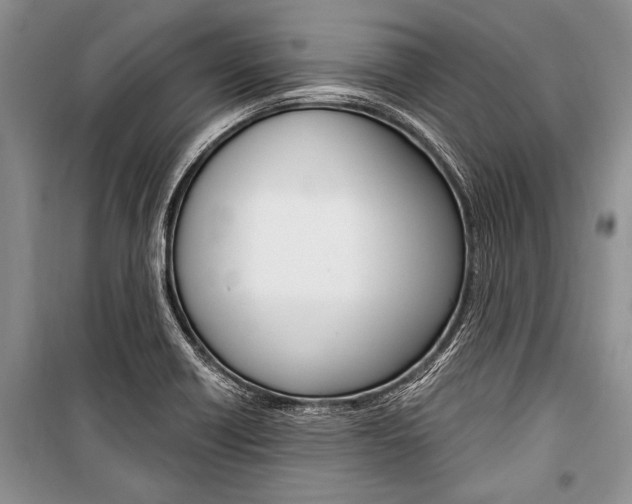 X0000101111418200806261058