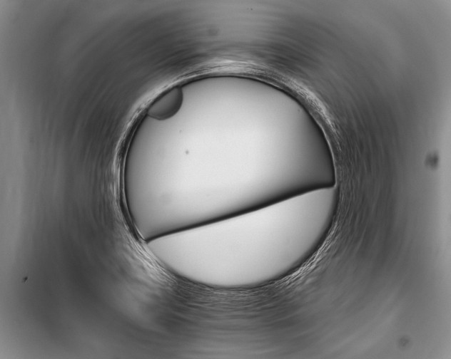 X0000101111419200806261058