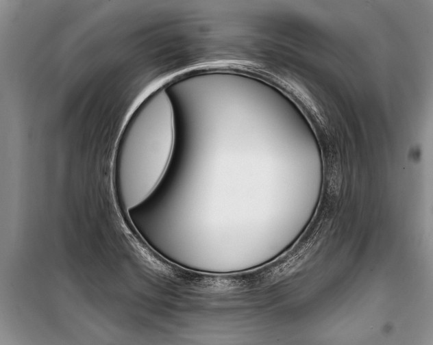 X0000101111420200806261058