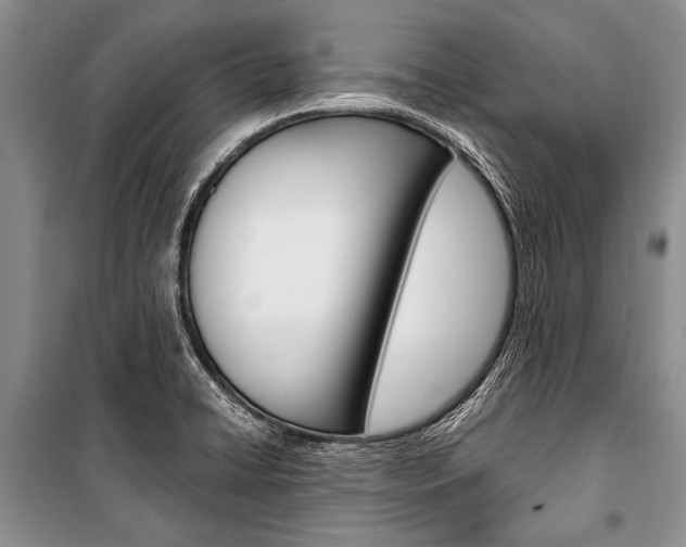 X0000101111422200806261058