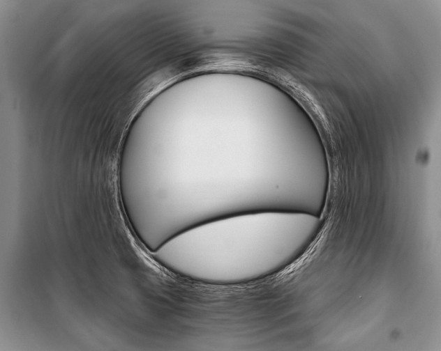 X0000101111425200806261058