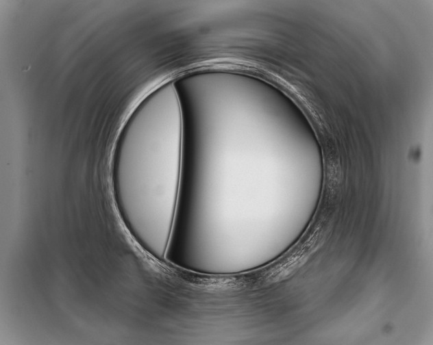 X0000101111426200806261058