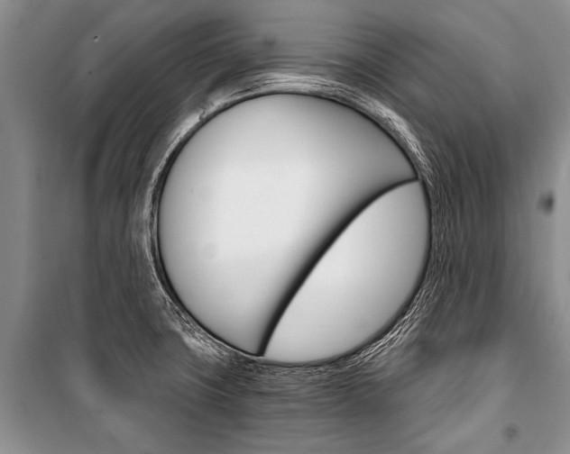X0000101111427200806261058