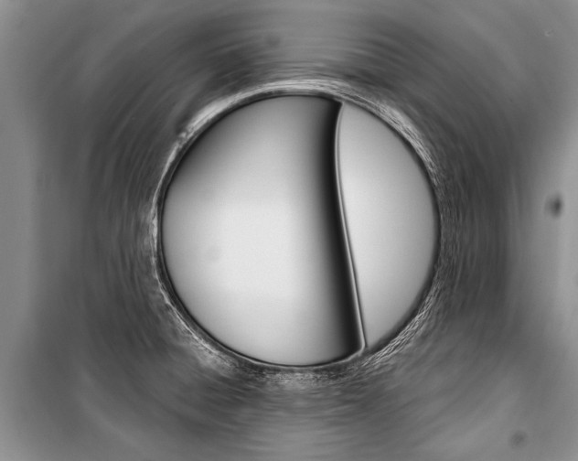 X0000101111428200806261058