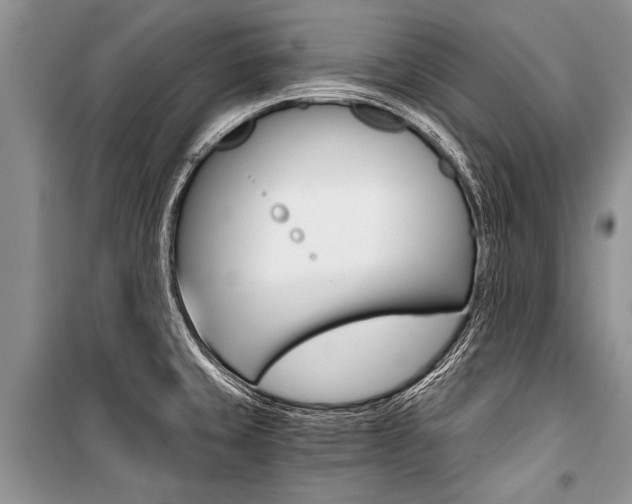 X0000101111429200806261058