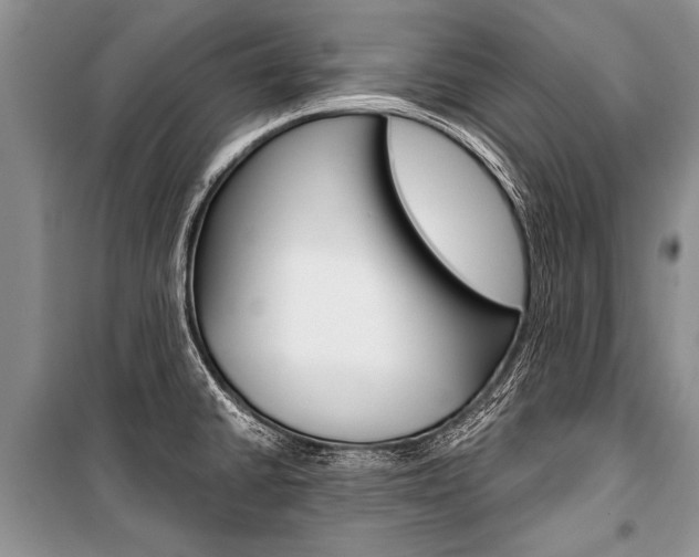 X0000101111430200806261058