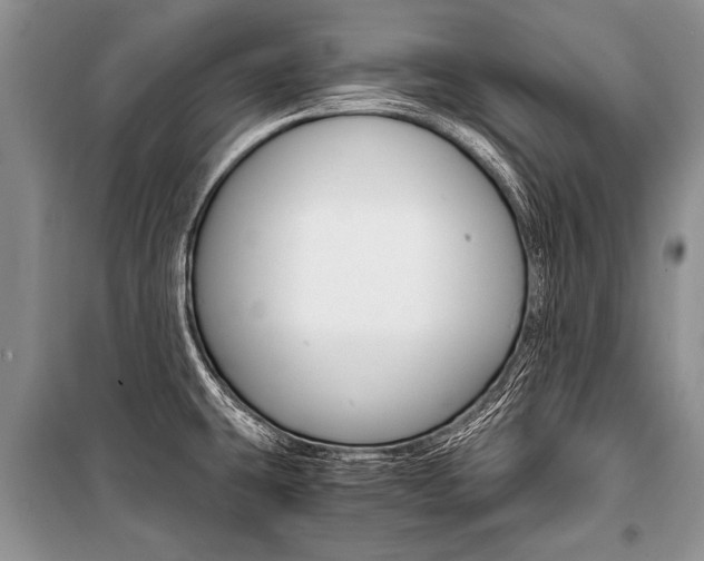 X0000101111431200806261058