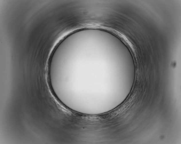 X0000101111432200806261058