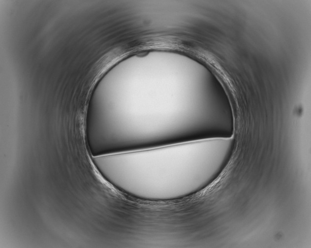 X0000101111433200806261058