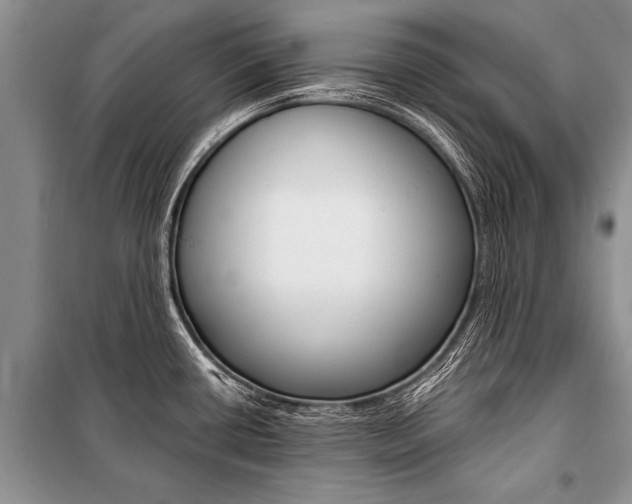 X0000101111434200806261058