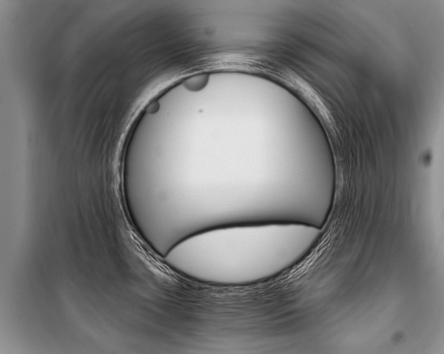 X0000101111435200806261058