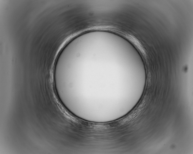 X0000101111436200806261058