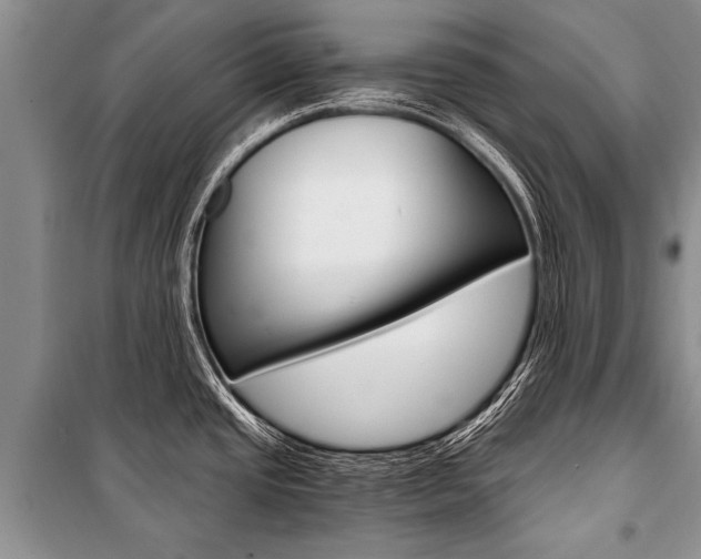 X0000101111437200806261058