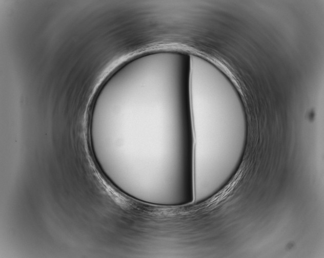 X0000101111438200806261058
