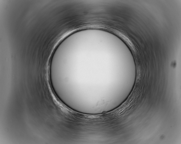 X0000101111439200806261058