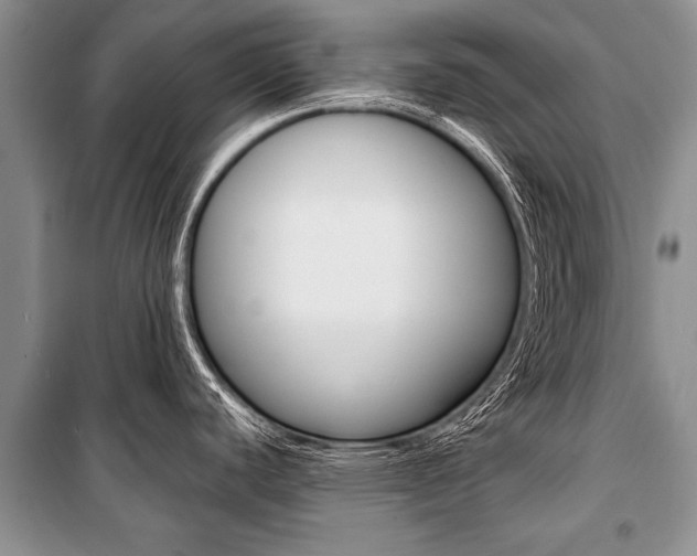 X0000101111440200806261058