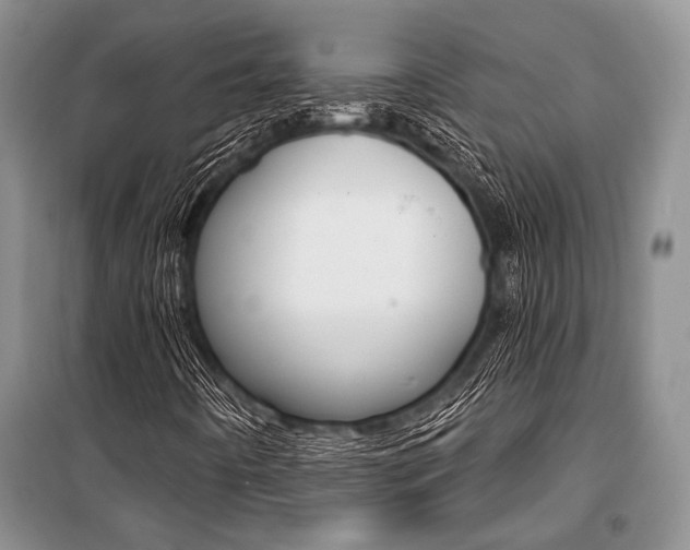 X0000101111442200806261057