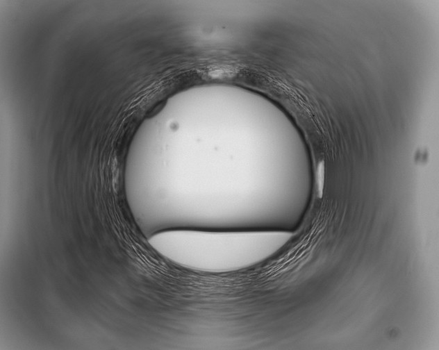 X0000101111443200806261057