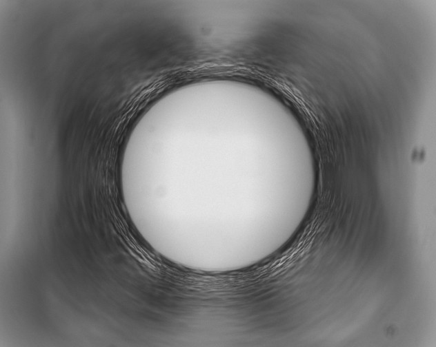 X0000101111444200806261057