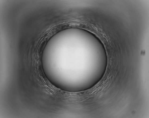 X0000101111445200806261057