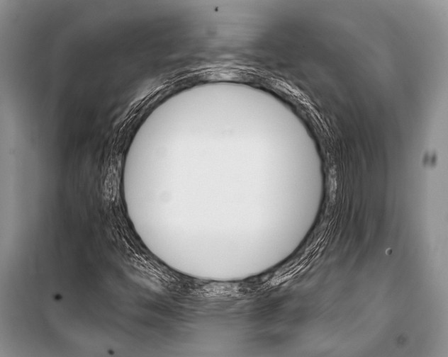 X0000101111446200806261057
