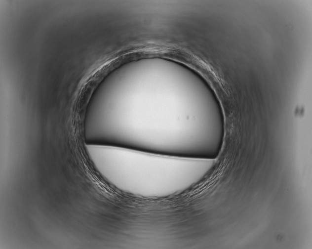 X0000101111448200806261057