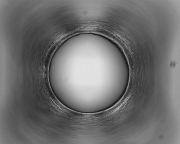 X0000101111449200806261057