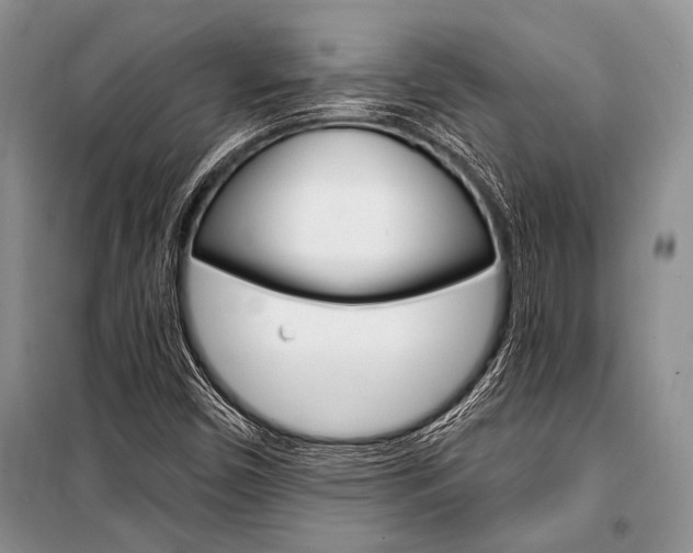 X0000101111450200806261057