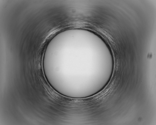 X0000101111451200806261057